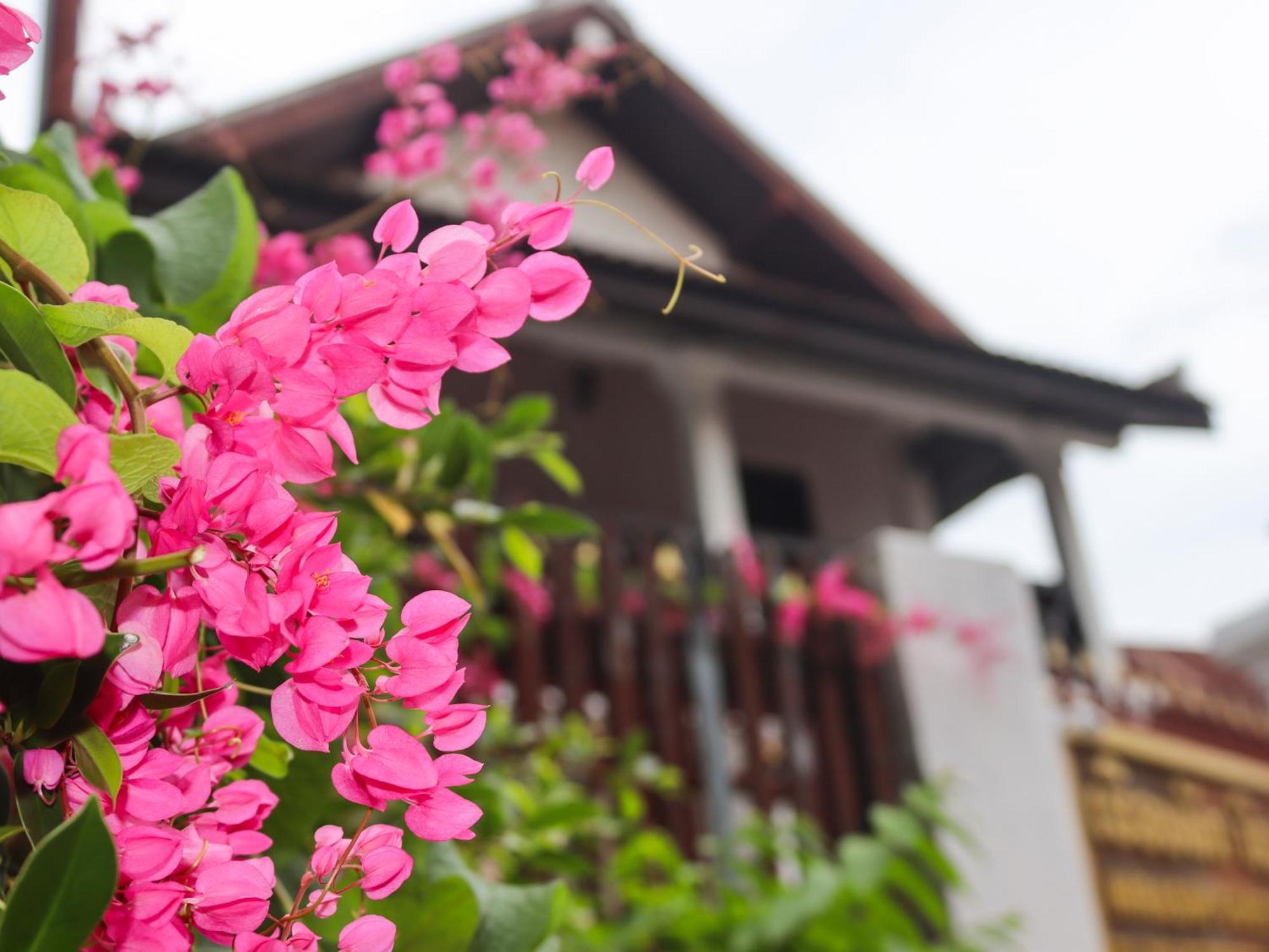 Nirasim Villa Luang Prabang Dış mekan fotoğraf